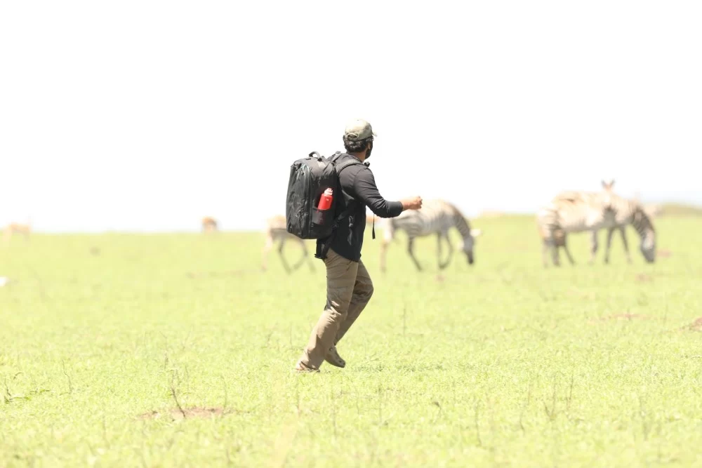 safari in kenya cost