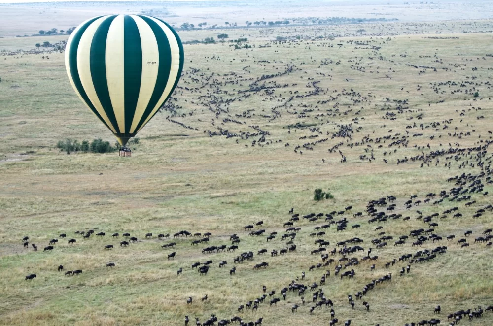 safari in kenya