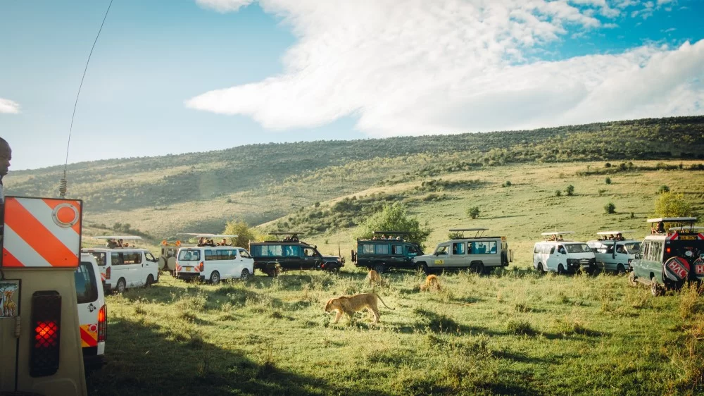 game drives