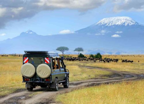 3 Days Amboseli By Road