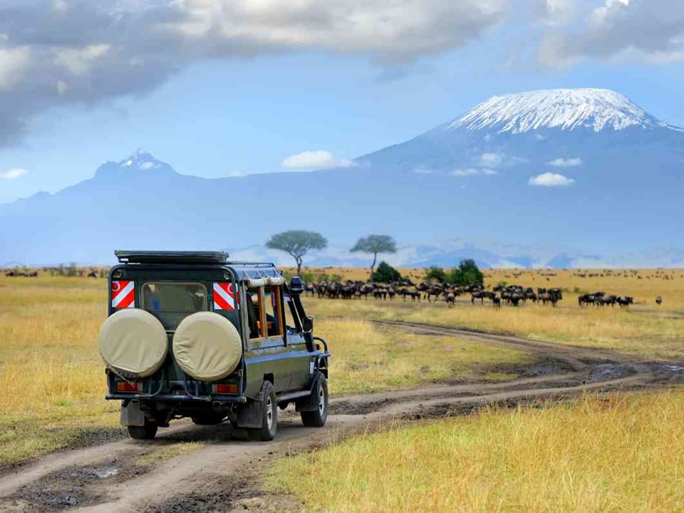 3 Days Amboseli By Road