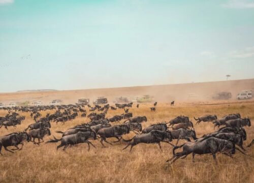 The Best Season To travel to Kenya