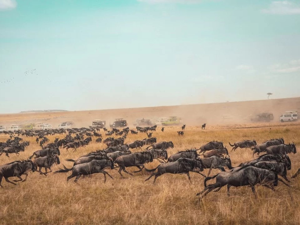 Tanzania
