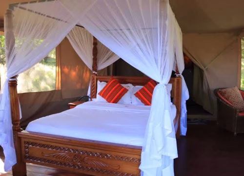 Elangata Olerai Luxury Tented Camp
