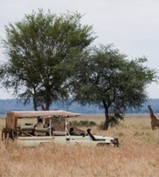 Kenyan Tour