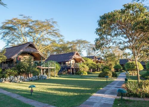 Here Is How to Plan Your Safari to Kenya