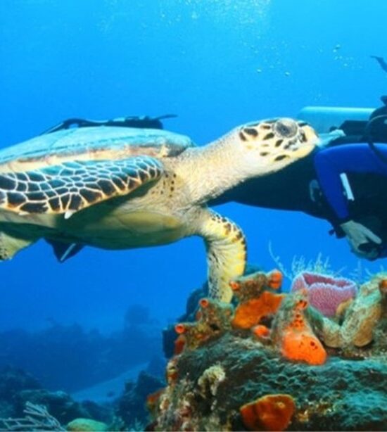 Malindi Tour