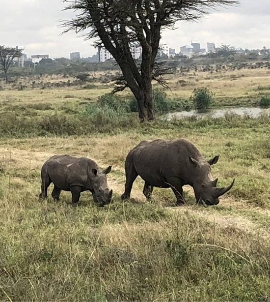 Nairobi Tour