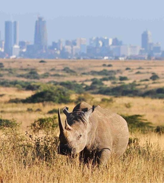 Nairobi Tour