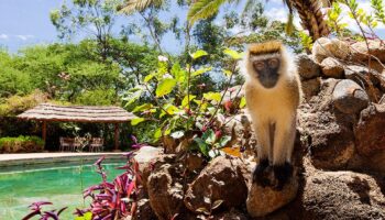 Amboseli Sopa Lodge