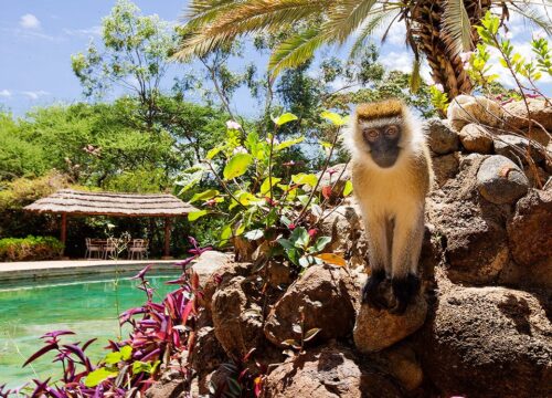 Amboseli Sopa Lodge