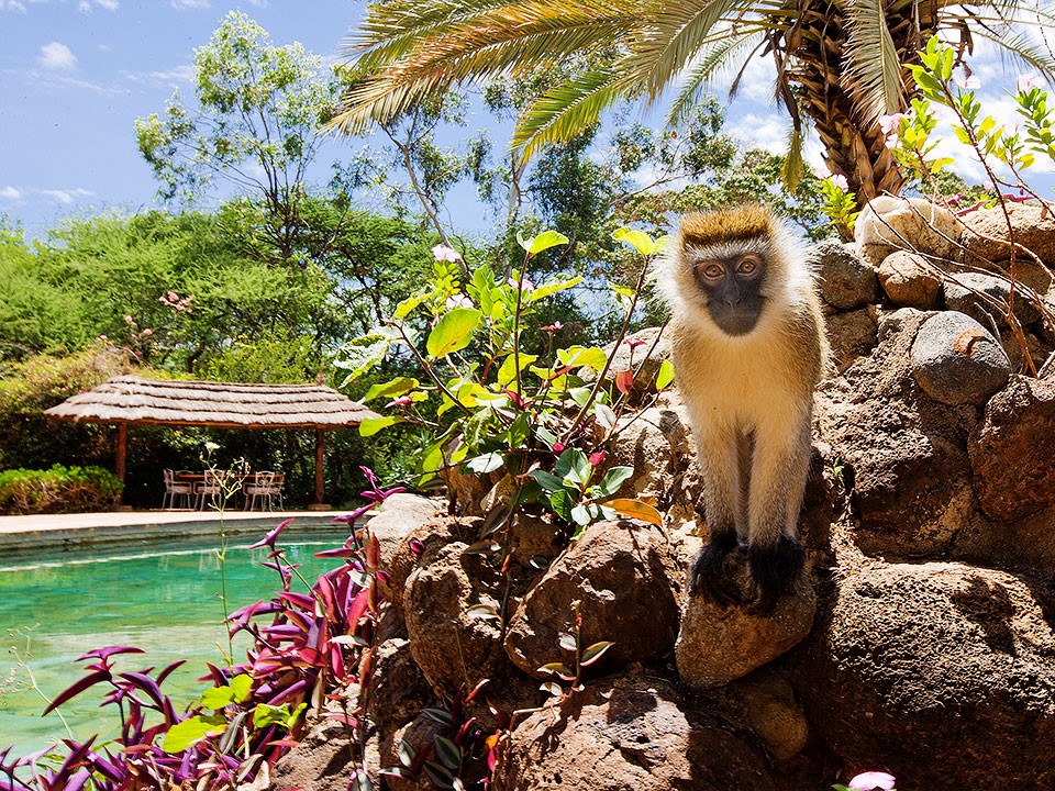 Amboseli Sopa Lodge