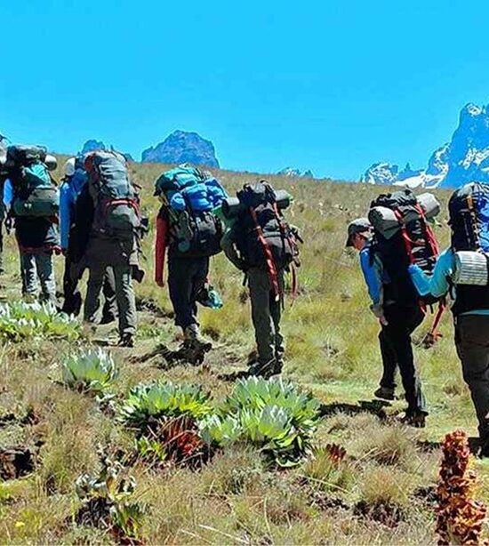 Mount Kenya Tour