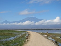 10 Reasons Why Safari Kenya Nairobi Is the Best City Safari