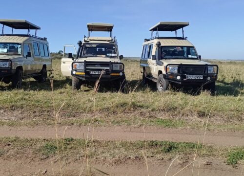 Amazing Safari Essentials You’ll Love to Pack