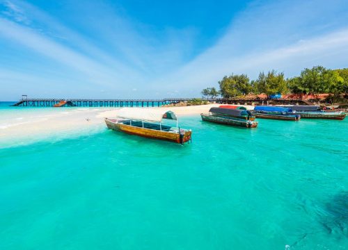Which Is the Best Time to Travel to Kenya for Safari?