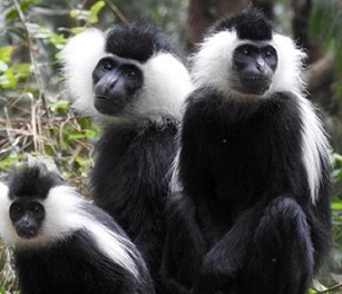Rwanda