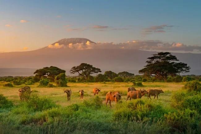 15 DAYS KENYA AND ZANZIBAR SAFARI 2025