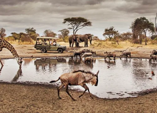 13 Days Kenya & Tanzania