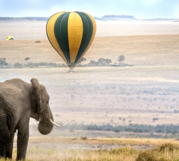 Maasai Mara