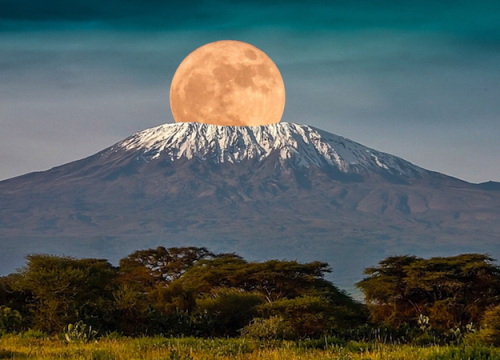 Mount Kilimajaro National Park