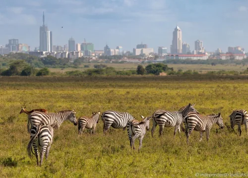 5 Best Places to Visit in Nairobi City When On a Kenya Safari Tour