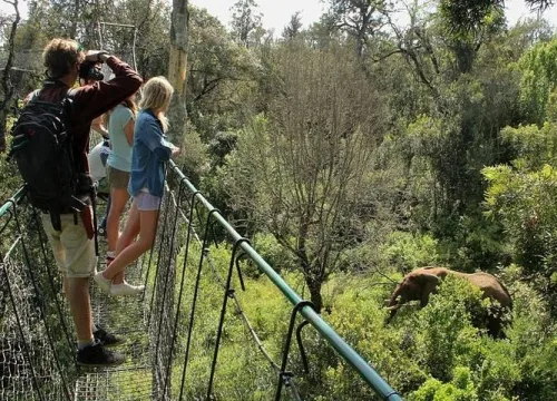 Nanyuki - Safari in Kenya