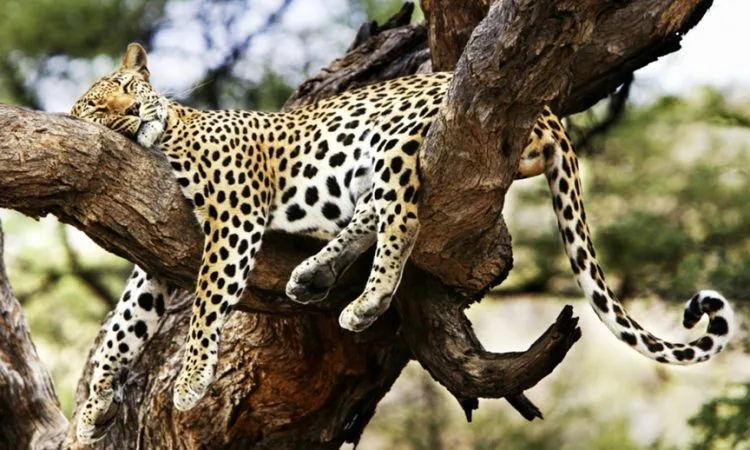 10 Days Safari Tanzania Itinerary