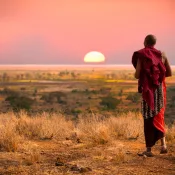 Masai Mara Safari