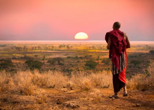 Amazing Budget Safari Tips for Fearless Travelers