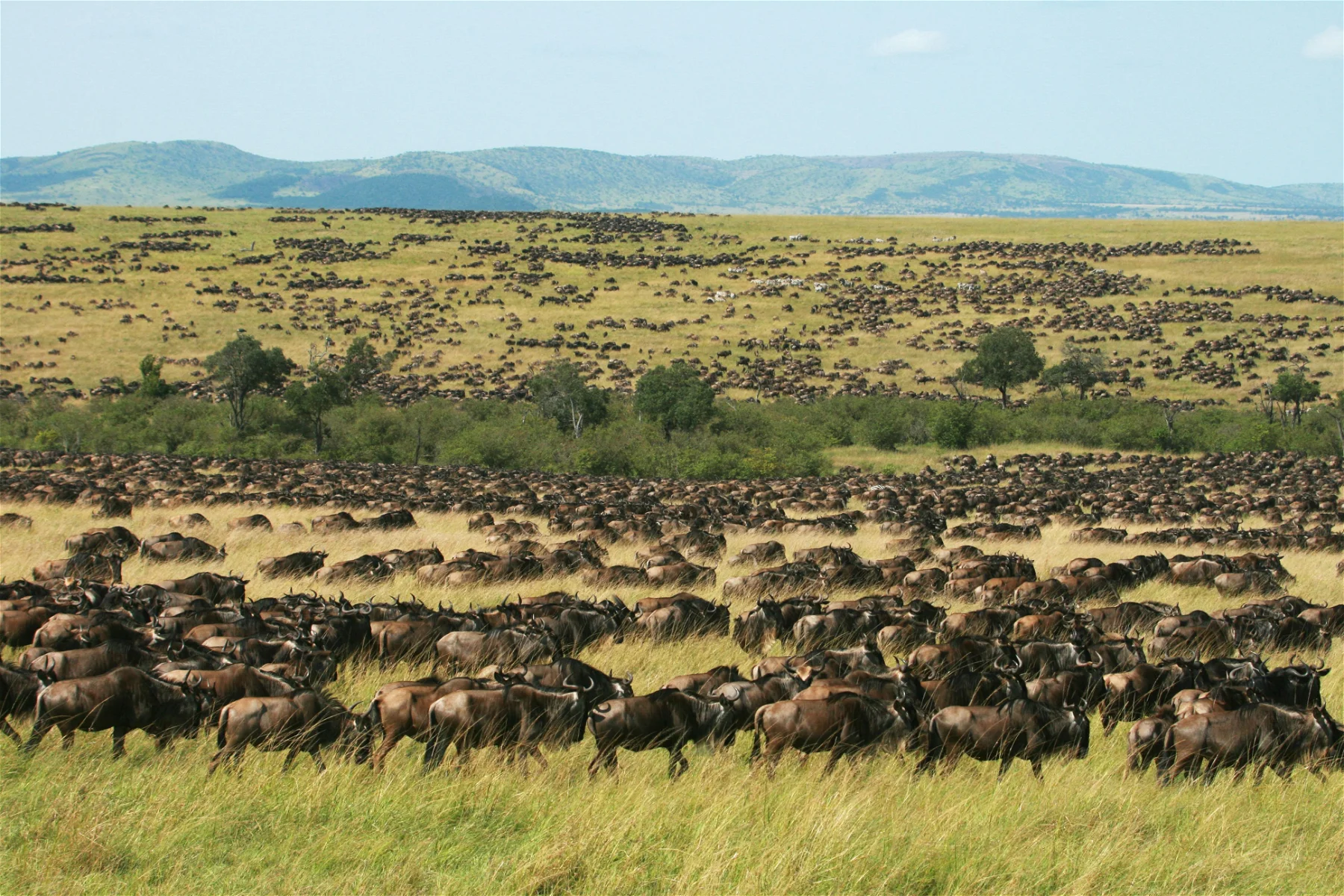 3 Day Flying Safari Masai Mara