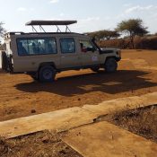Dallago Tours