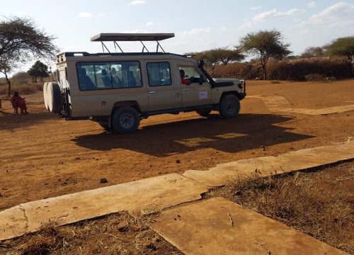 Dallago Tours
