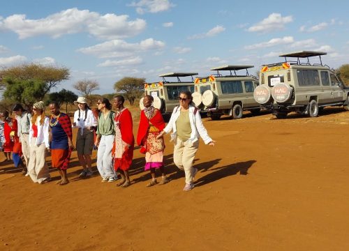 Exciting Tips for Your First Kenya-Tanzania Safari