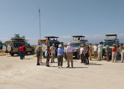 Kenya safari