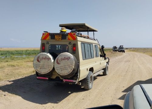 On Safari in Kenya