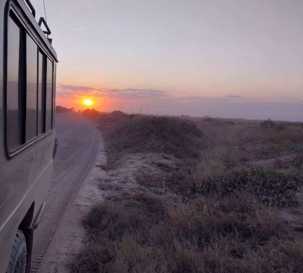Dallago Tours