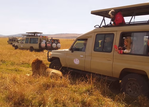 Safari to Africa with Dallago Tours