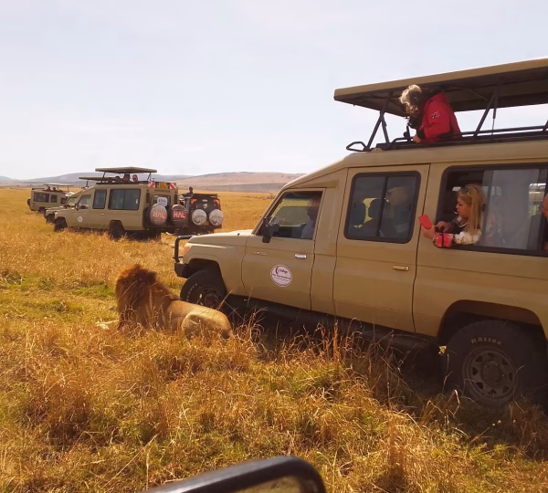 Safari to Africa with Dallago Tours