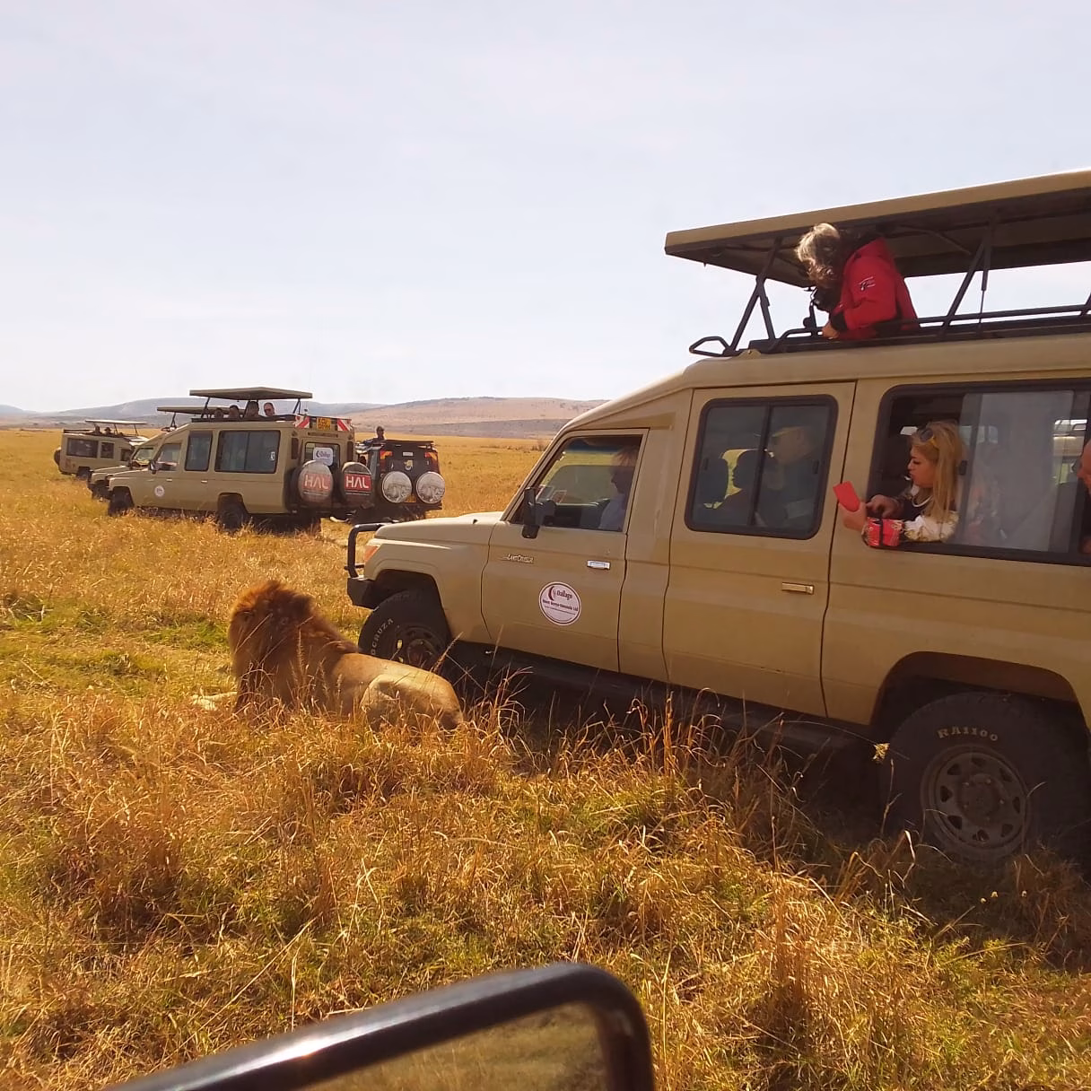 Safari to Africa with Dallago Tours