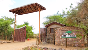 Amboseli Sentrim lodge