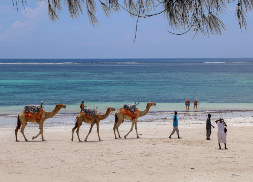 Diani Beach: Top Attractions, Activities, and Travel Guide to Kenya’s Coastal Paradise