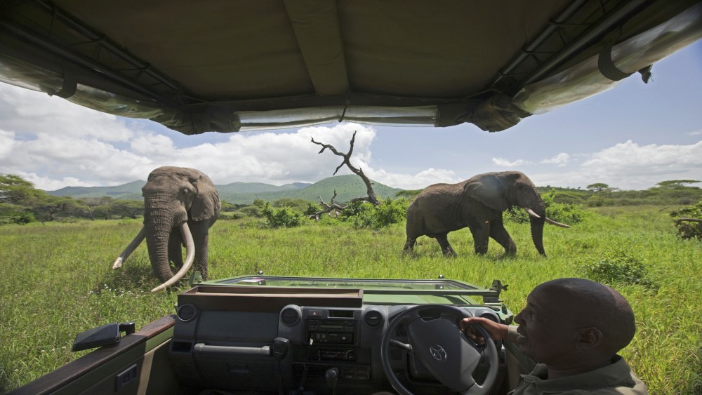 experience in one of the safari destinations in africa