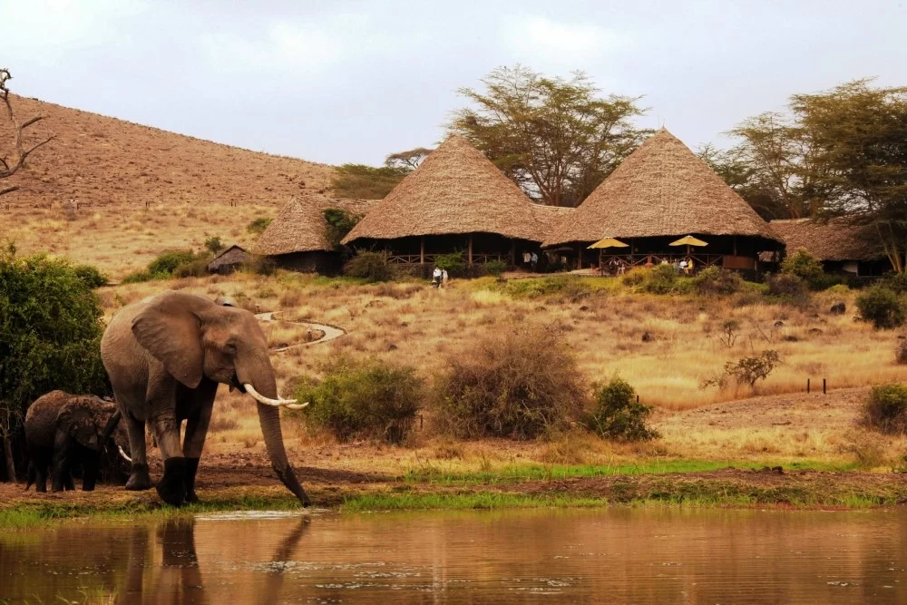 safari to kenya and tanzania