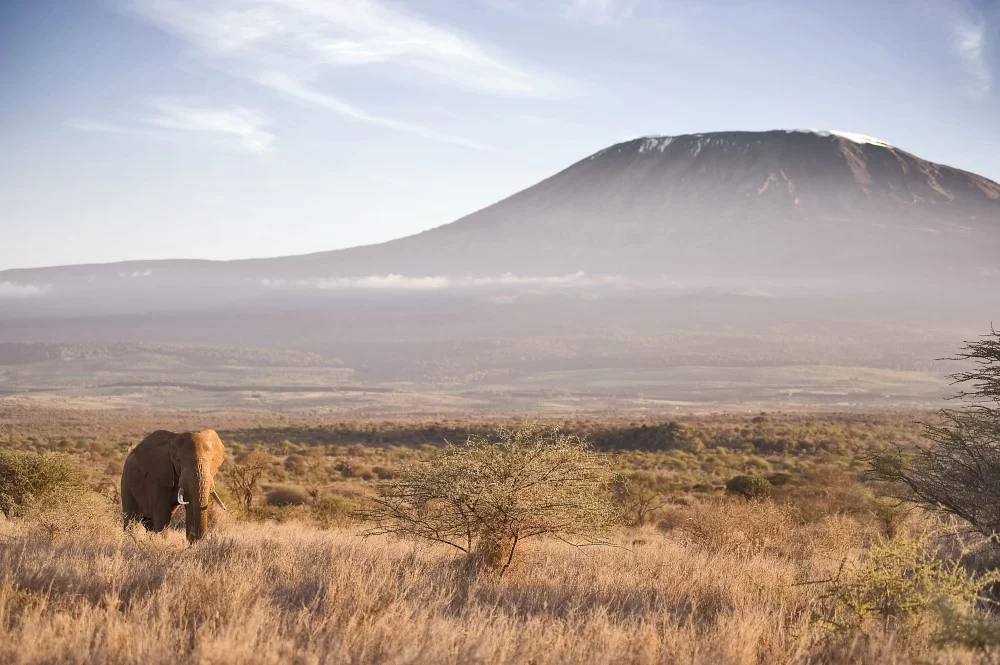 safari to kenya