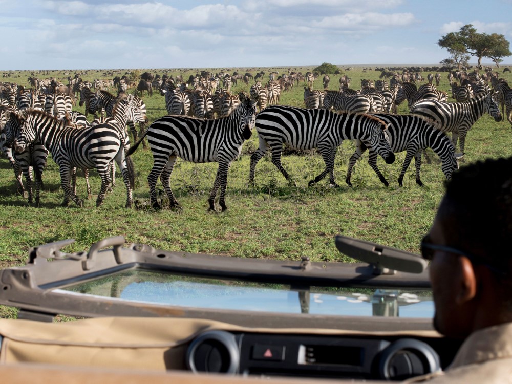 tourist on kenya safari tour