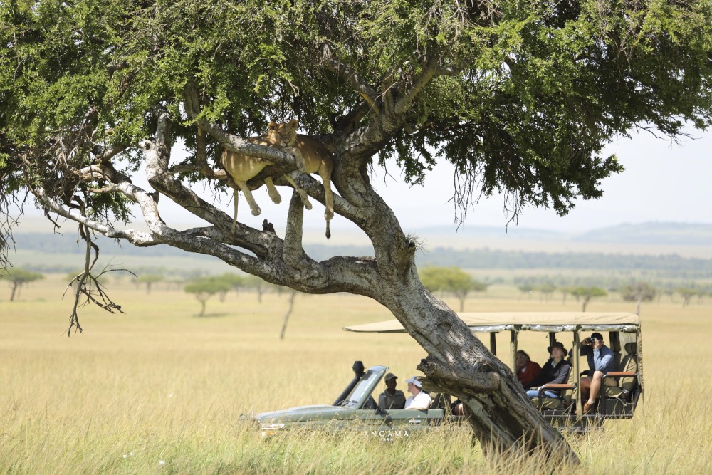 kenya safari for families