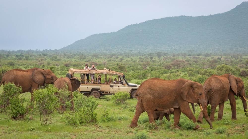 big five experience safari in kenya