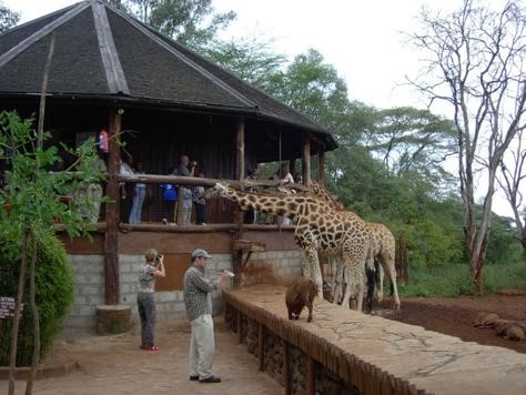 Nairobi Langata Giraffe Centre