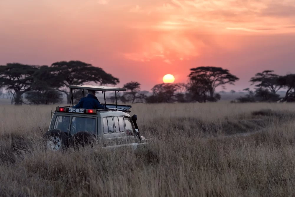 Kenya safari tour